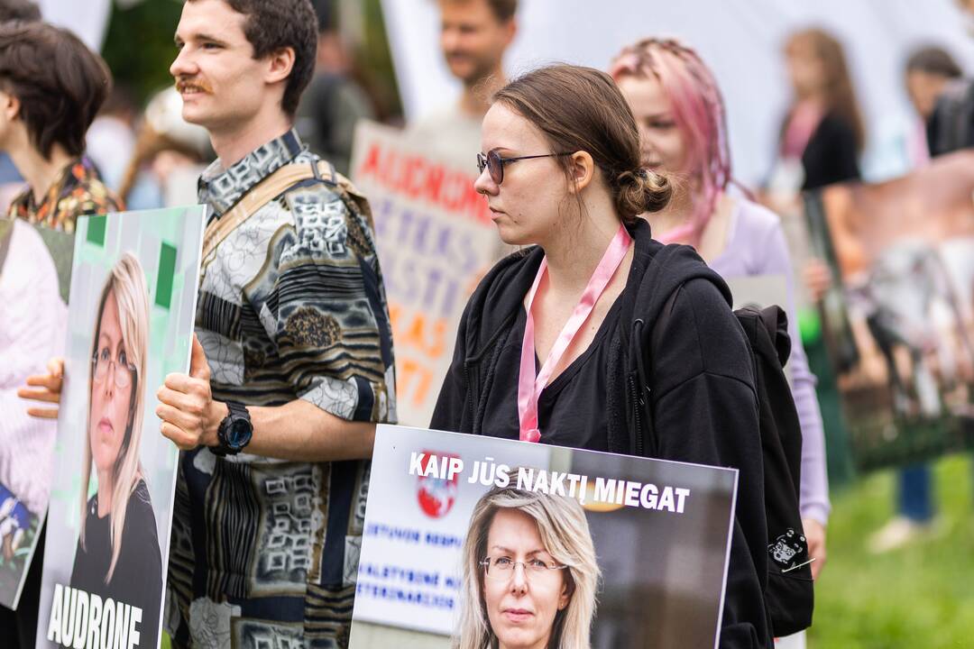 „Tušti narvai“ surengė protestą prieš paršelių kastraciją be nuskausminamųjų