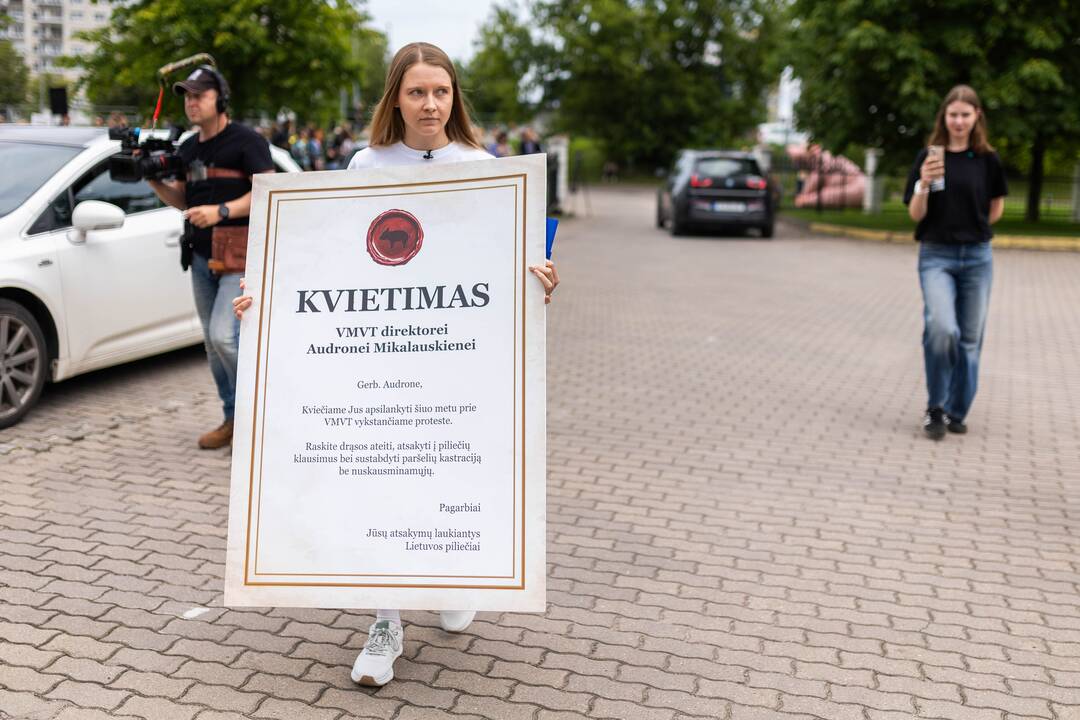 „Tušti narvai“ surengė protestą prieš paršelių kastraciją be nuskausminamųjų