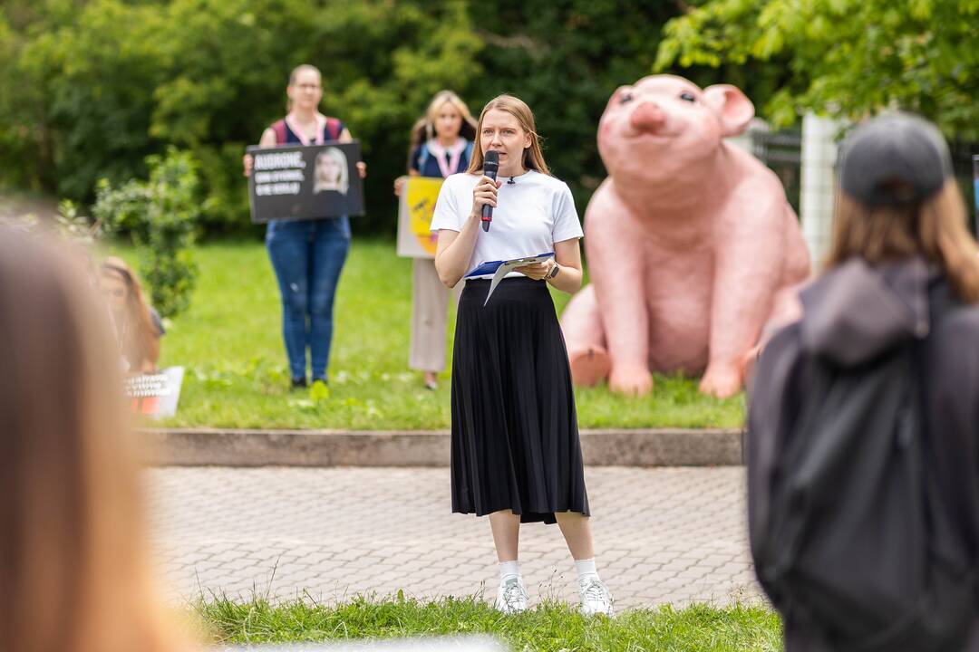„Tušti narvai“ surengė protestą prieš paršelių kastraciją be nuskausminamųjų