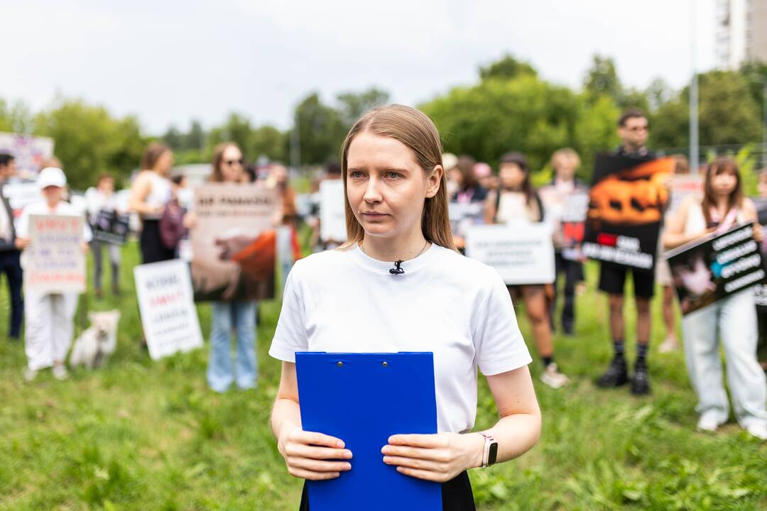 „Tušti narvai“ surengė protestą prieš paršelių kastraciją be nuskausminamųjų