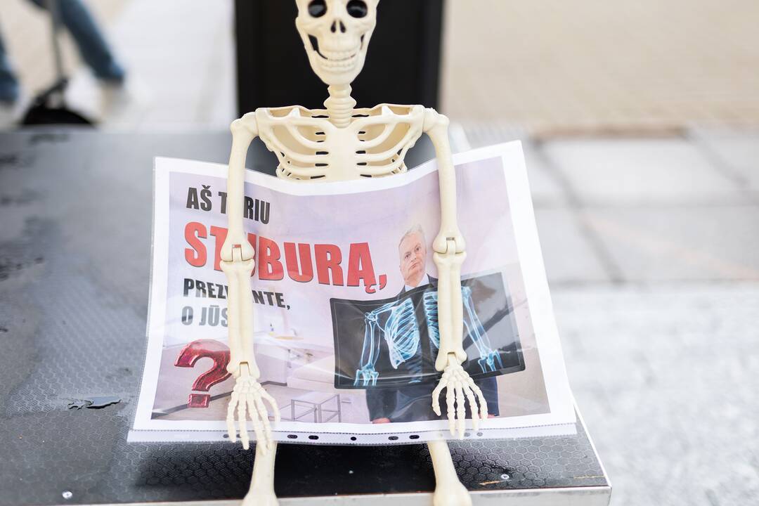 Simono Daukanto aikštėje surengtas protestas „Prezidente, kur Jūsų stuburas?“