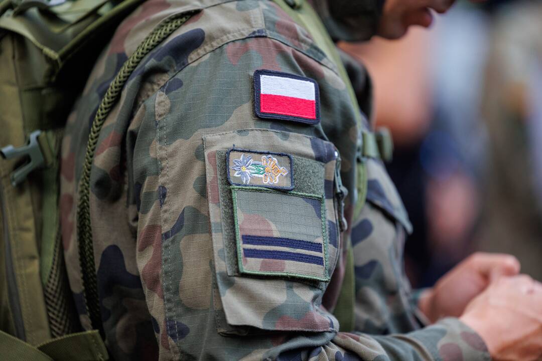 Kęstutis Budrys: Lenkija ketina sustiprinti patikras pasienyje su Lietuva