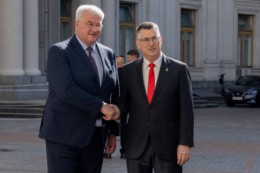 Andrijus Sybiha ir Gideonas Saaras