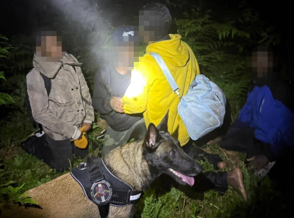 Lietuvos pasieniečių šuo sulaikė į Latviją iš Baltarusijos įsibrovusius migrantus