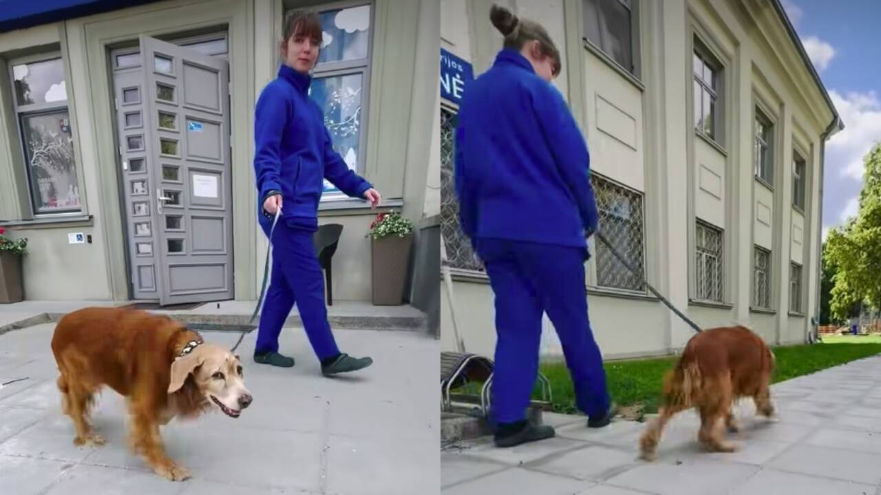 Iš po žemių iškastam šuneliui Gausui – svarbi diena: laikykime kumščius!