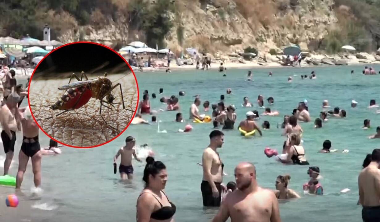 Lietuvių pamėgtame kurorte siaučia pavojinga liga: gali baigtis ir mirtimi