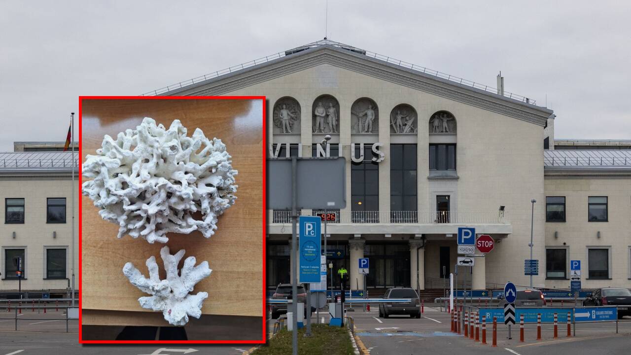 Atostogos Balyje baigėsi nemalonia staigmena: muitininkai susidomėjo kauniečio bagažo turiniu