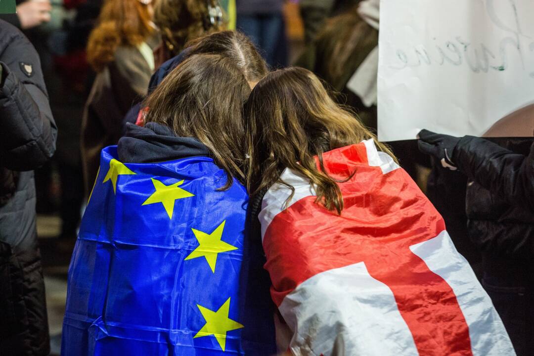 Septyniolika šalių, įskaitant Lietuvą, ragina Sakartvelą paleisti įkalintus opozicionierius