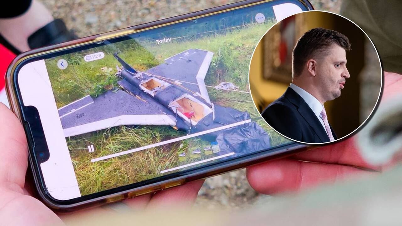 Jeglinskas: turime daugybę kritinių spragų