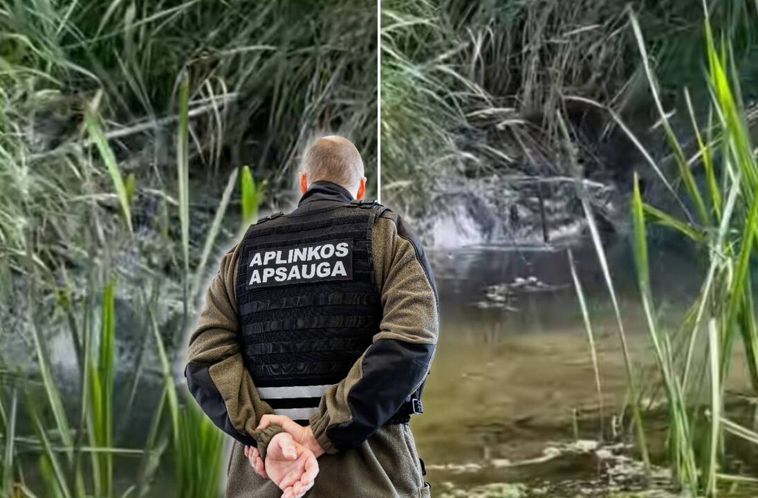 Dvokiančio atvejo tyrimas: kokie teršalai plūdo į Nevėžį?