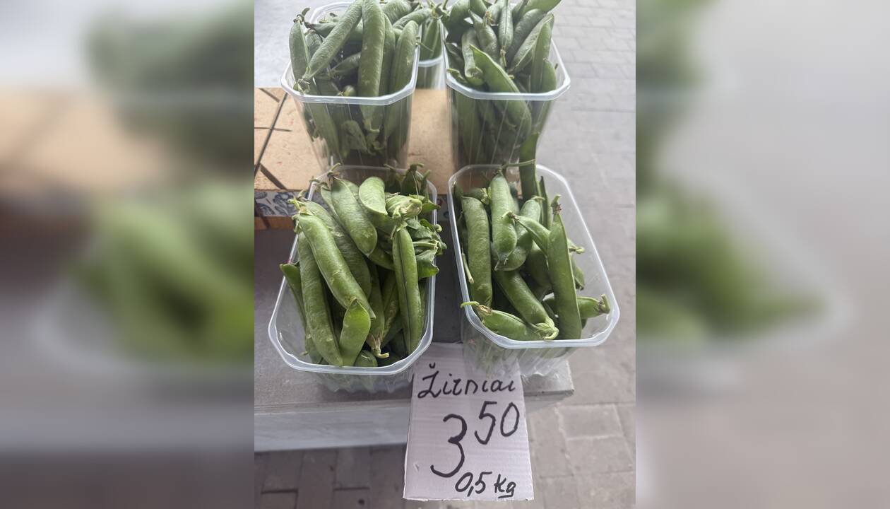 Skoniai: nors sodininkams kur kas daugiau darbo būna užauginti dideles ir saldžias braškes, tačiau šiemet kainų viršūnę pasiekė daržo žirniai, kurie auga ir labai neglobojami.
