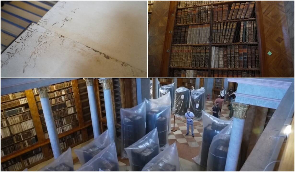 Bibliotekininkai kovoja su neįprasta problema: nebuvome susidūrę su tokio lygio užkrėtimu