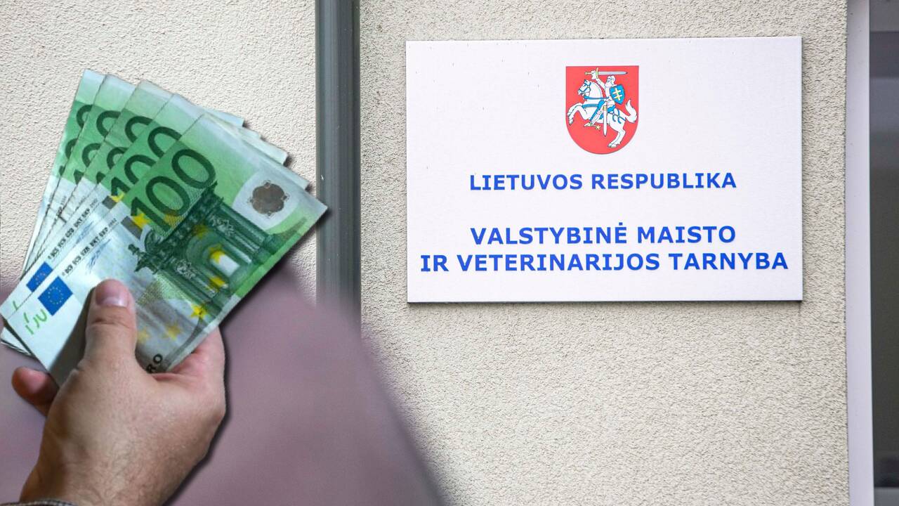 Teismui perduota rezonansinė VMVT korupcijos byla: kyšių sumos siekė beveik 200 tūkst. eurų