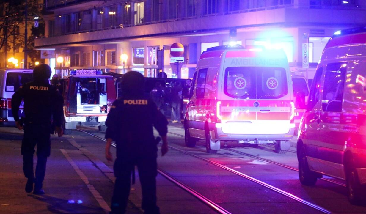 Austrijoje sudužo lėktuvas: žuvo keturi žmonės