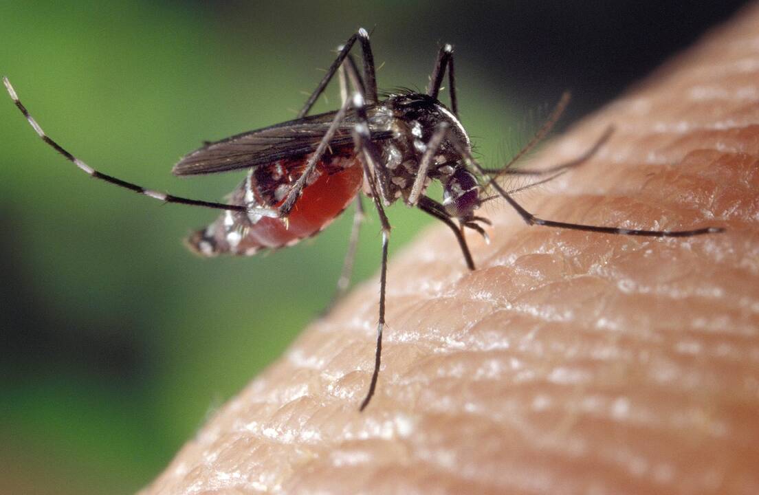 PSO įspėja dėl naujos pasaulinės epidemijos rizikos, milijardai žmonių jau pavojuje