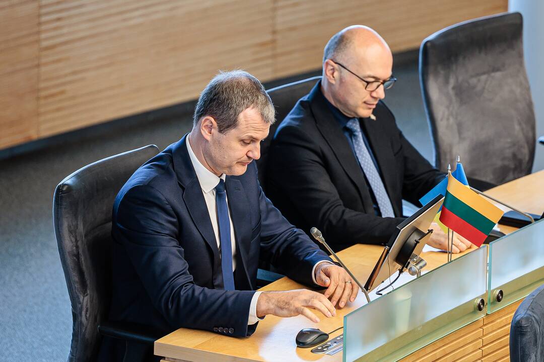 Vyriausybės griūtis: kas toliau?