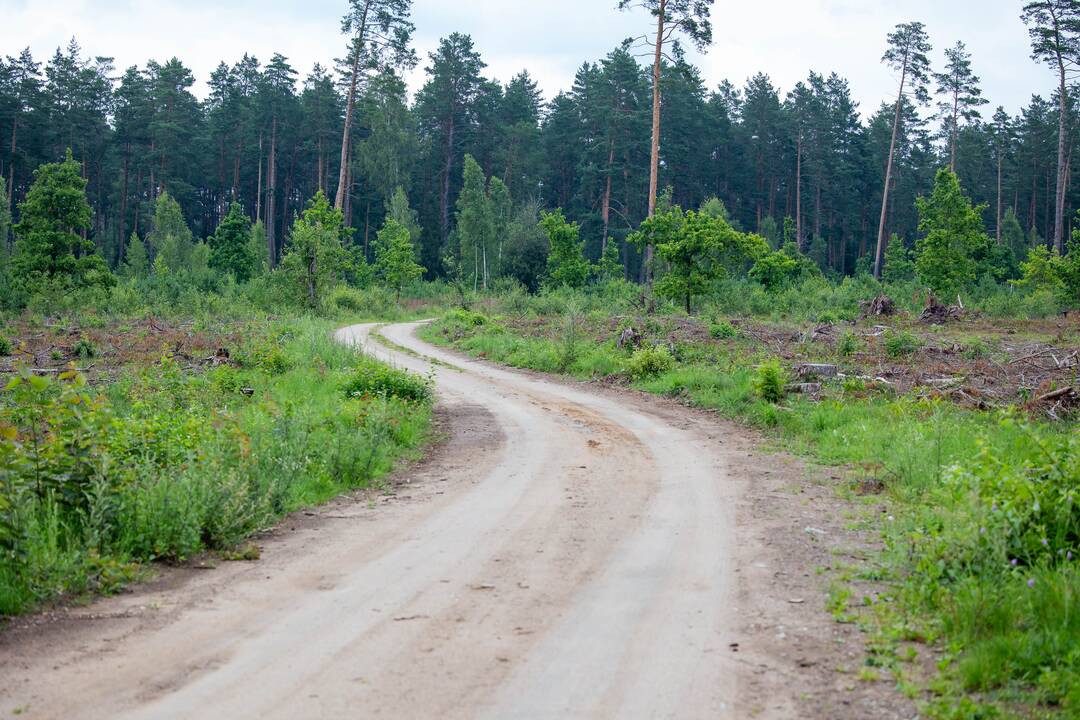 Į Lietuvą iš Baltarusijos įskridusio drono paieška