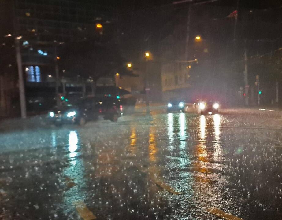 Lenkija ruošiasi galingoms liūtims