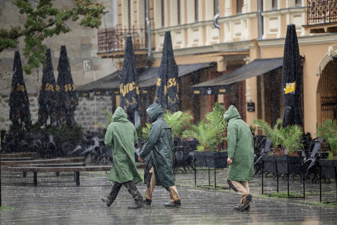 Kauniečių diena (2025-07-30)