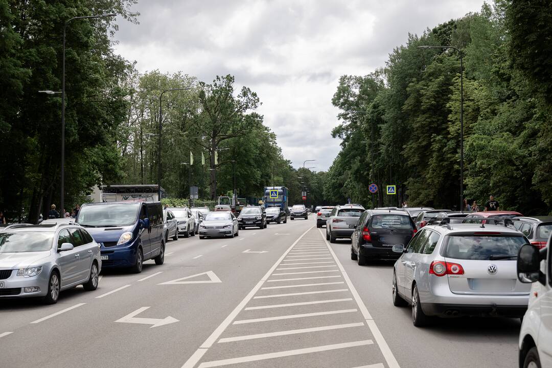Zoologijos sodas šiandien žmones džiugina nemokamai