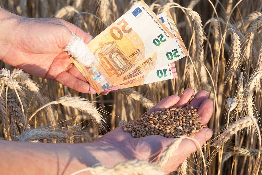 „VH Lietuva“ išmokės 12,8 mln. eurų draudimo išmokų: kam ji priklauso?