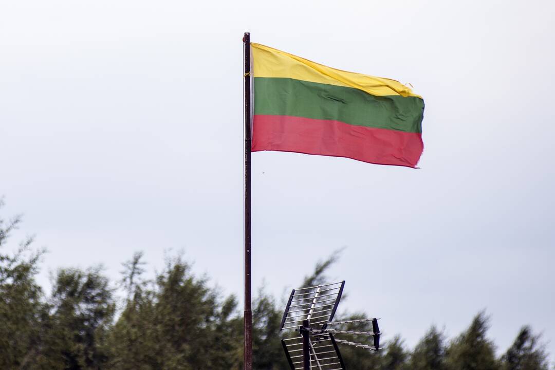 Lietuvos vėliava
