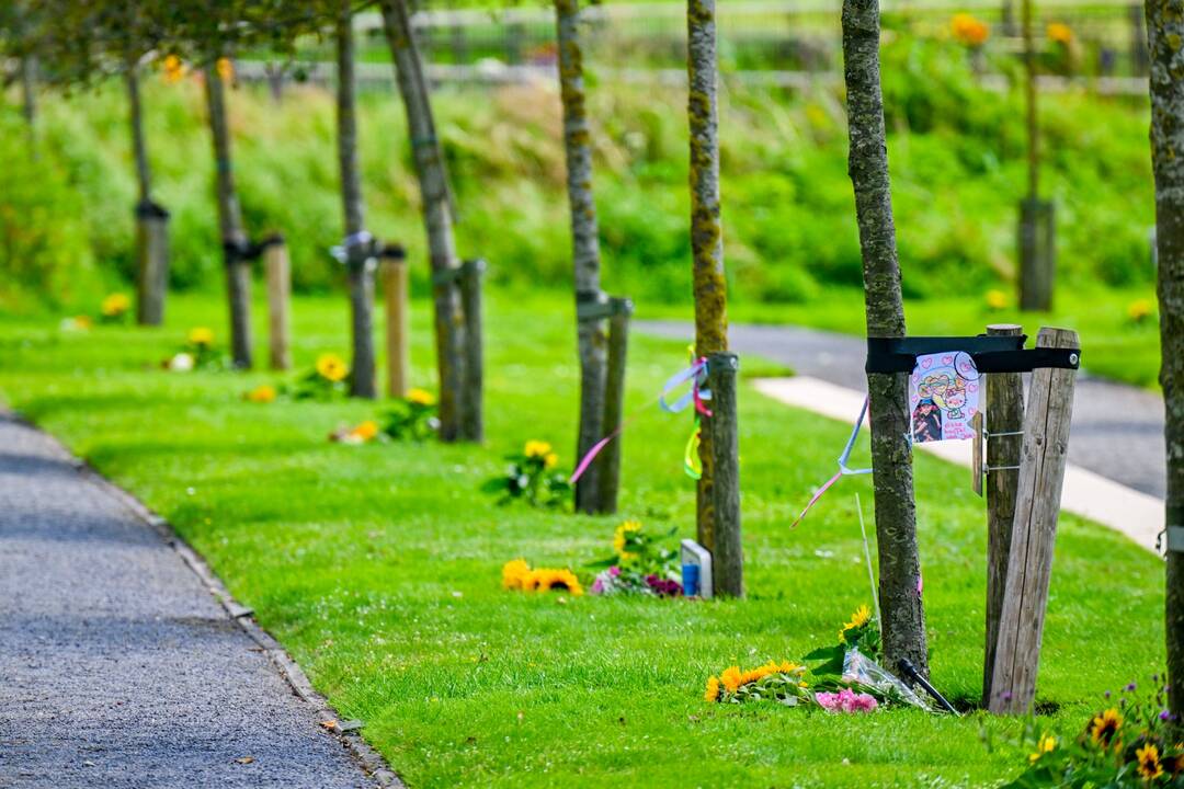 Kęstutis Budrys: EŽTT sprendimas patvirtina, kad Rusija yra atsakinga už MH17 lėktuvo numušimą
