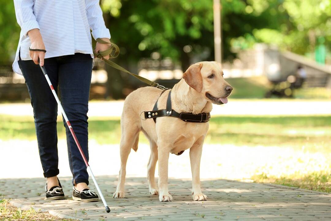 Siūloma asmenims su negalia kompensuoti šias išlaidas