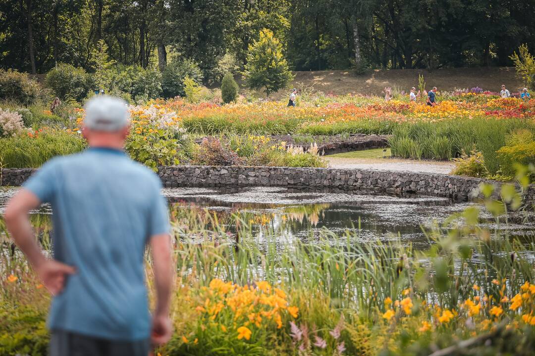 VDU Botanikos sode – tradicinė „Kvapų naktis 2025“