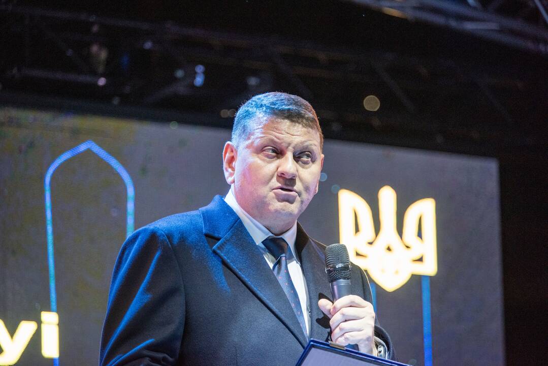 Zalužnas: JAV galėtų perduoti Ukrainai pasenusias raketas