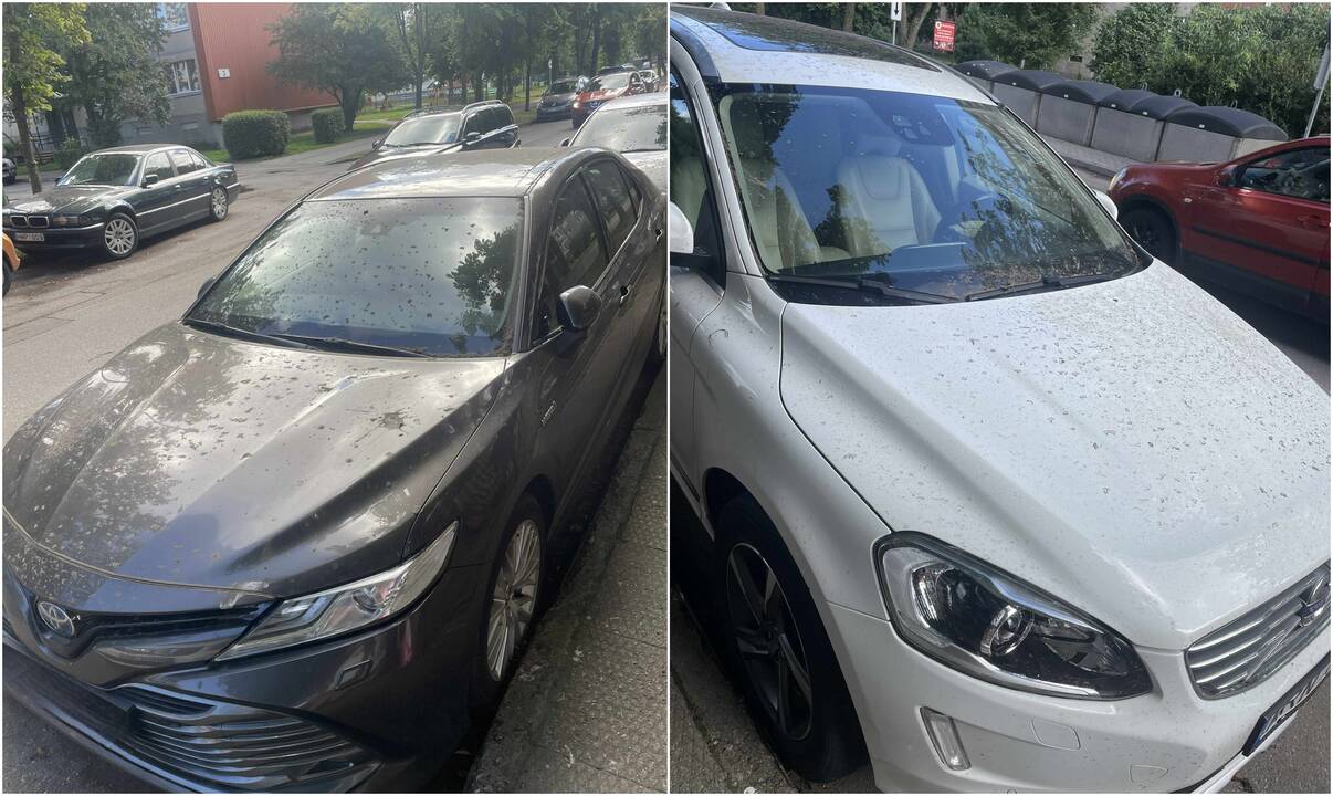 Apmaudas: Reikjaviko gatvės gyventojai po šaligatvių valymo rado purvu „papuoštus“ automobilius.