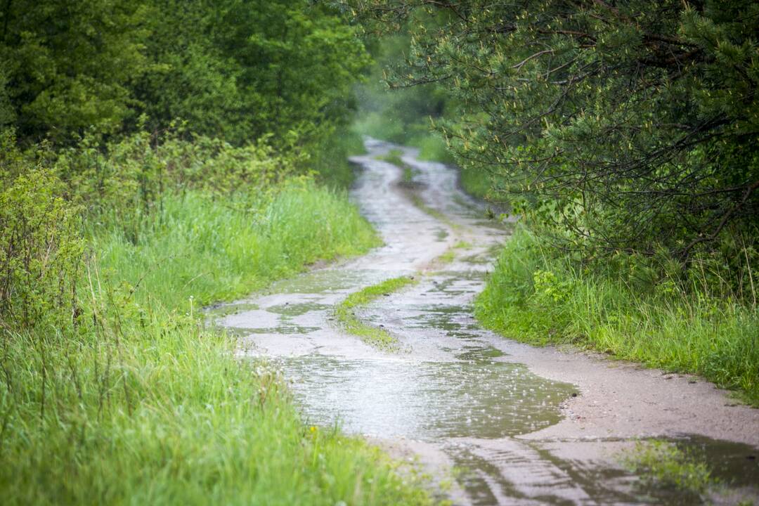 Šešiose savivaldybėse dėl labai smarkaus lietaus paskelbtos ekstremaliosios situacijos