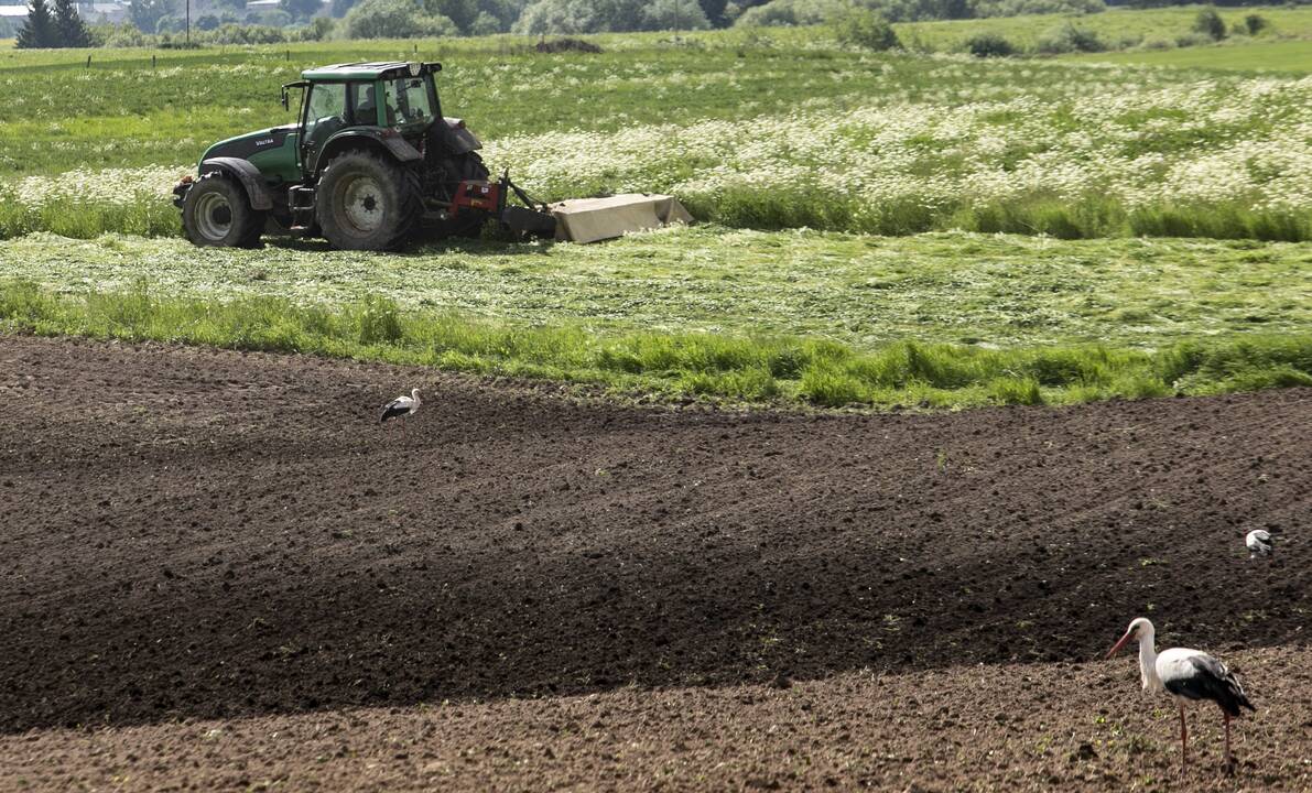 Iš sodybos pavogta žemės ūkio technikos už daugiau nei 47 tūkst. eurų