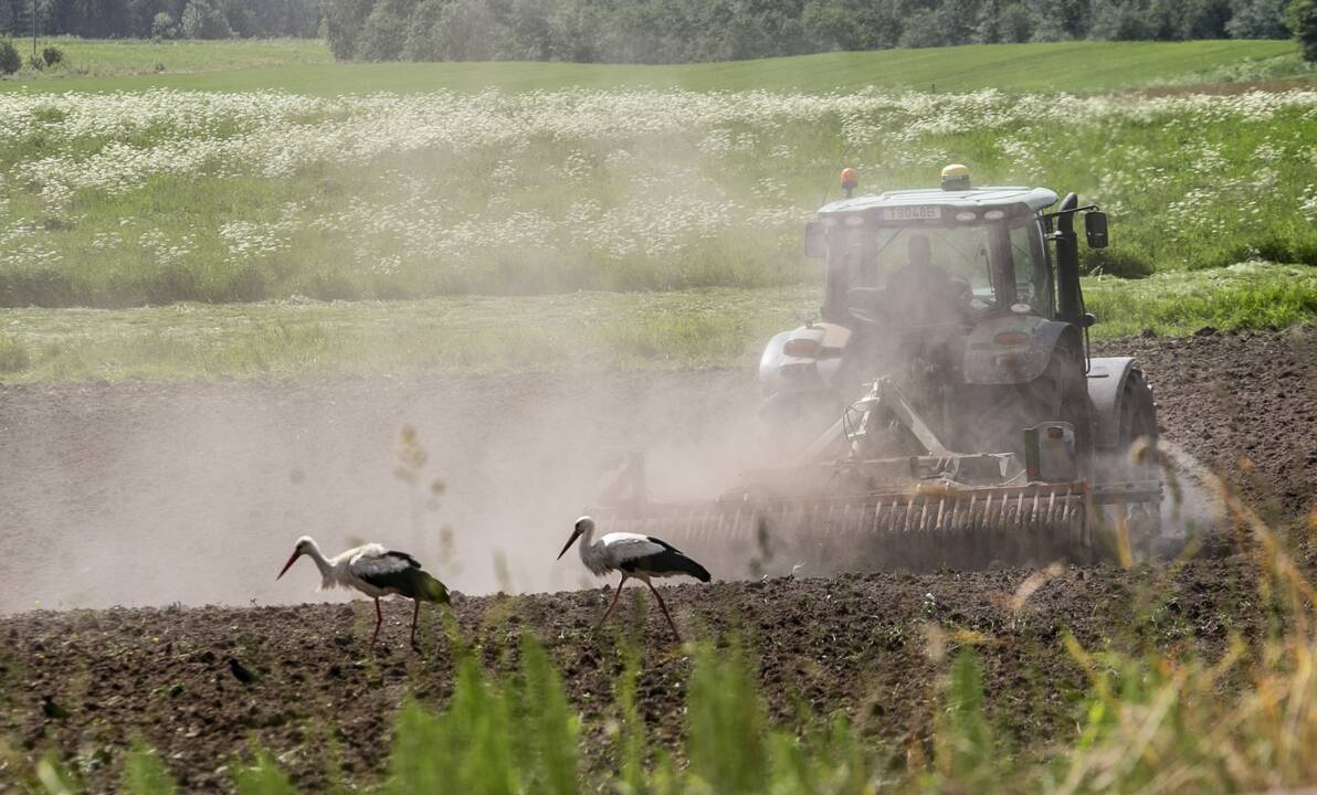 Vyriausybė: įsigyjant žemę turėtų būti atsisakoma deklaracijos
