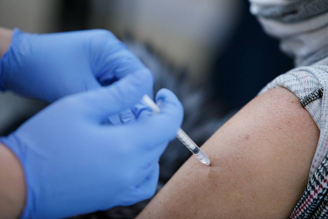 Geros žinios klaipėdiečiams: kviečia nemokamai pasiskiepyti nuo erkinio encefalito