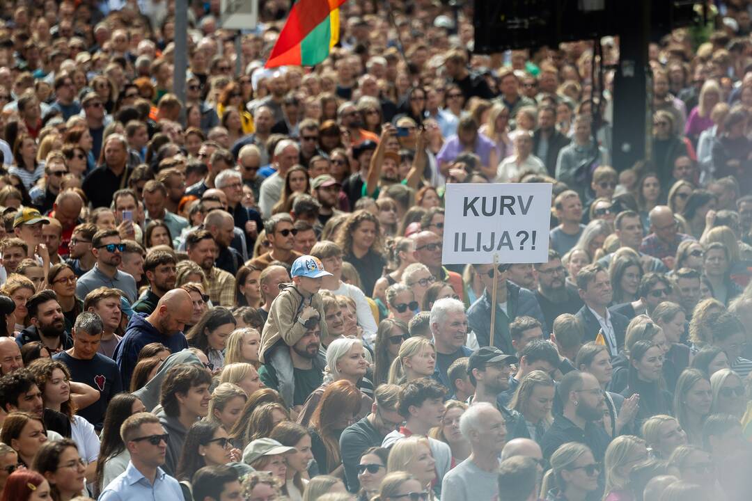 Protesto „Gėdos diena“ dalyviai prie Seimo