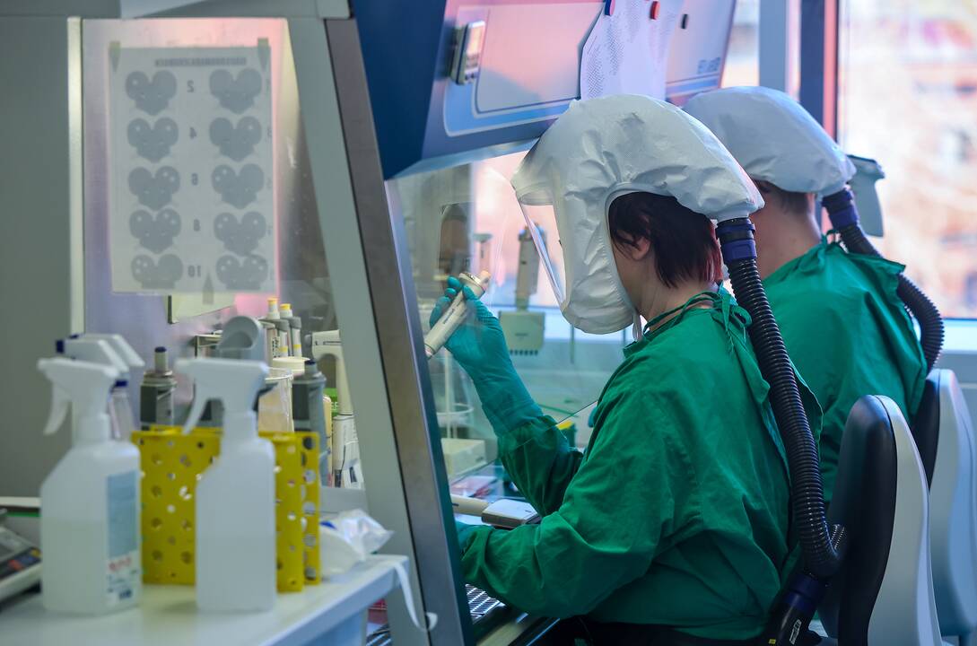 Italijoje nuo Vakarų Nilo viruso mirė jau 11 žmonių