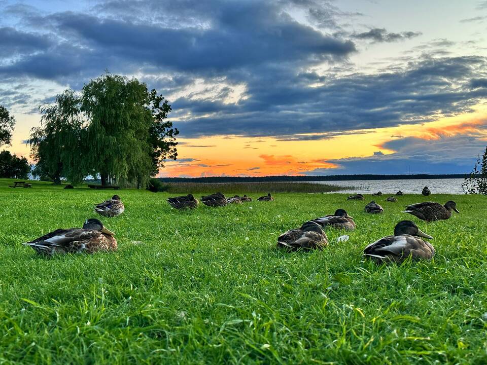 Meteorologas: laukia viena šalčiausių dienų per pastaruosius dešimtmečius