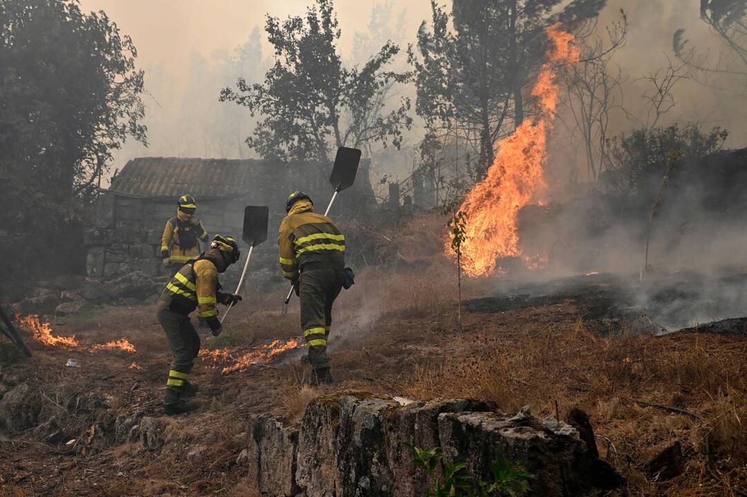 Ispanijoje siaučiantys miškų gaisrai šiais metais išdegino rekordinį plotą