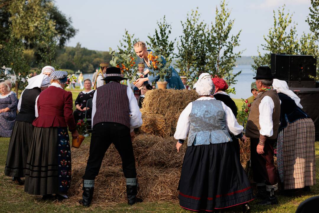 Pėdos marių dugne