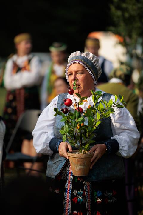 Pėdos marių dugne