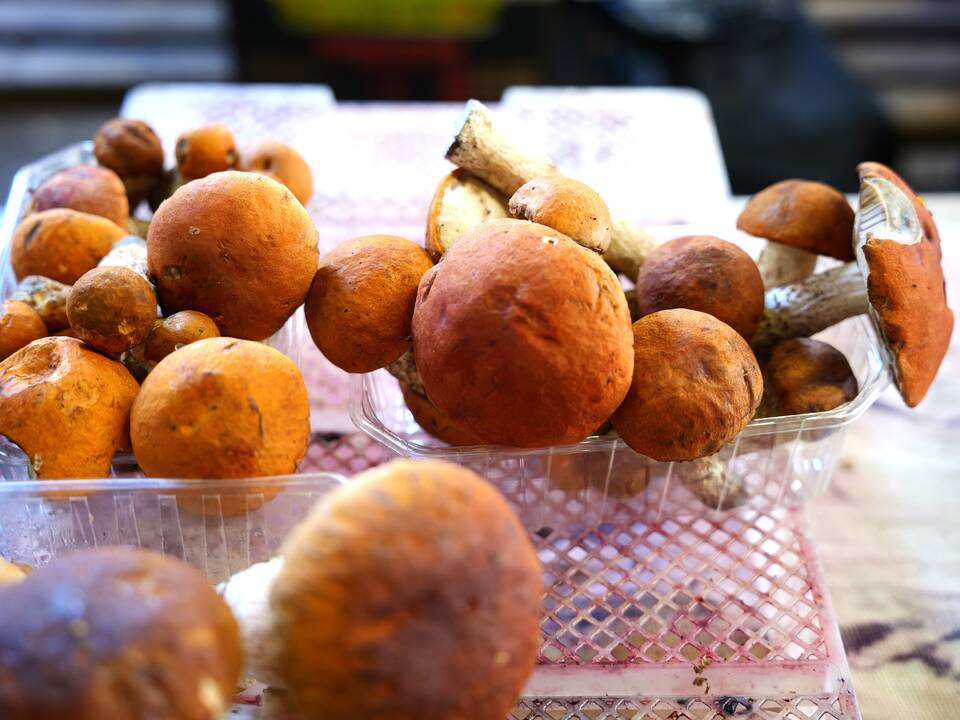 Grybai turguje