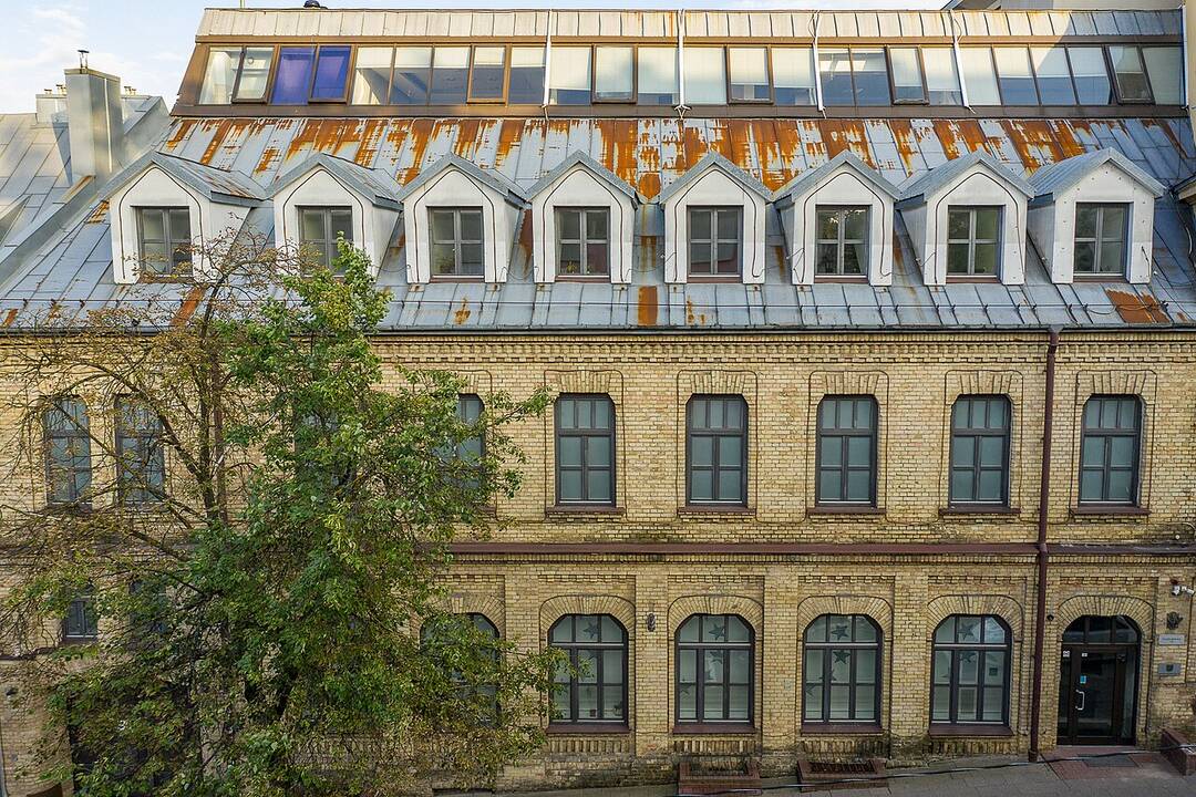 Vyriausybė padidino Lietuvos kultūros tarybos pirmininko atlyginimą