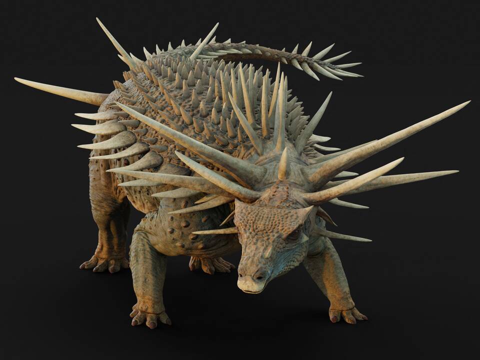 Mokslininkai atrado keistą dinozaurą su įmantriais šarvais ir spygliais