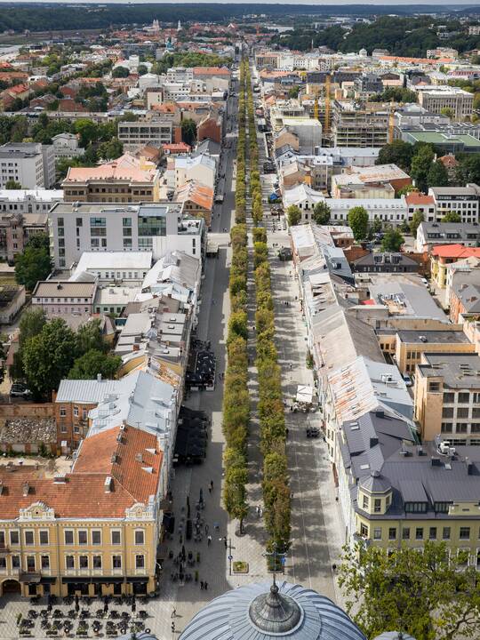 Kauniečių diena (2025-08-07)