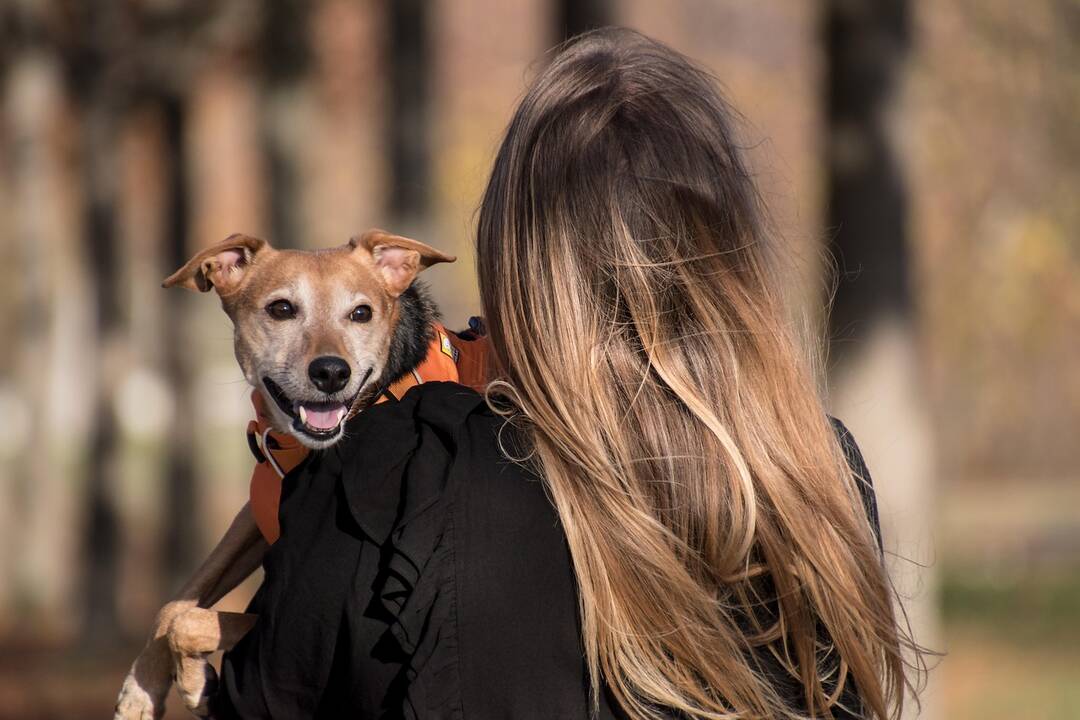 Rugpjūčio 26-oji Lietuvoje ir pasaulyje
