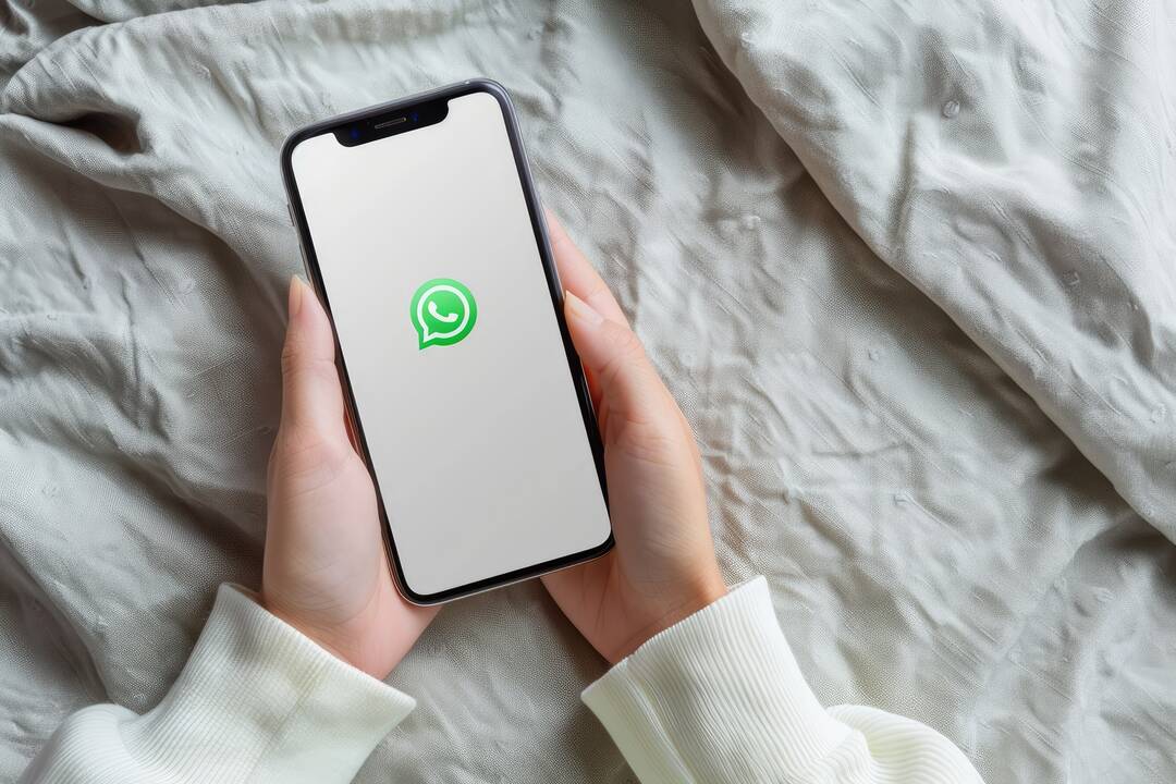 Pažinties su vyru kaina per „WhatsApp“ – 10 tūkst. eurų