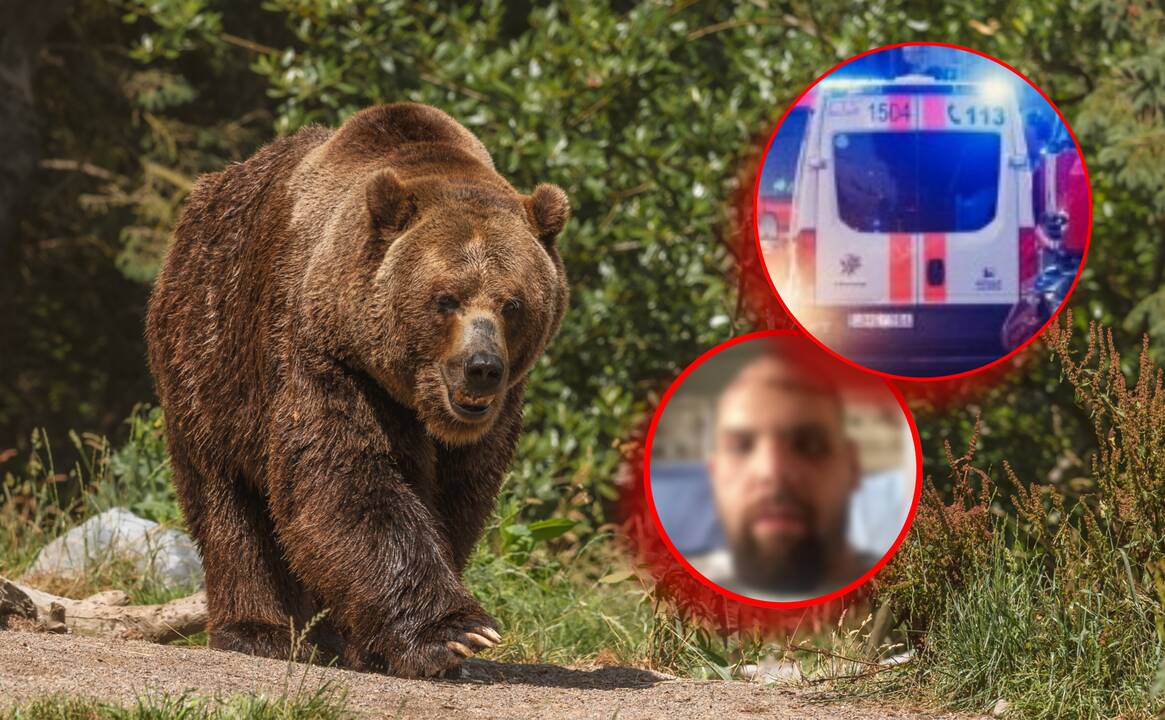 Iš krūmų išlindusi meška sudraskė 39-erių vyrą: štai kas padėjo jam išgyventi