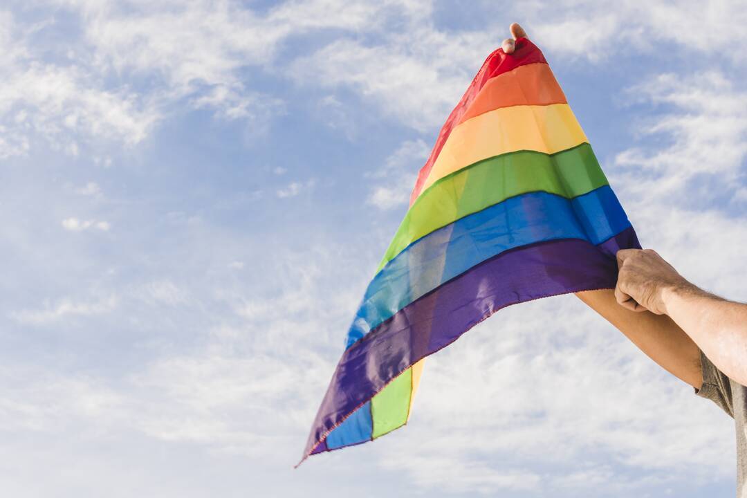 LGBT vėliava