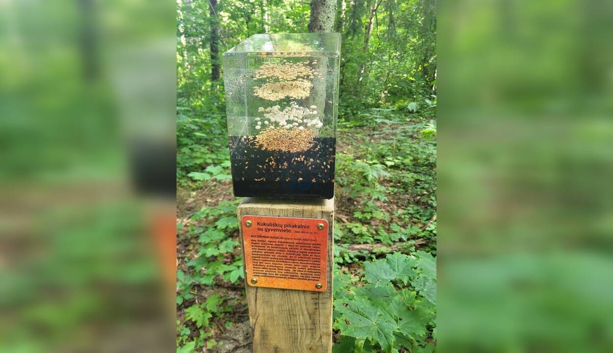 Ekspozicija: vienuolikos informacinių stendų maršrutas pajūryje Litorinos taku leidžia lankytojams susipažinti su bronzos amžiaus bendruomenės gyvenimu.